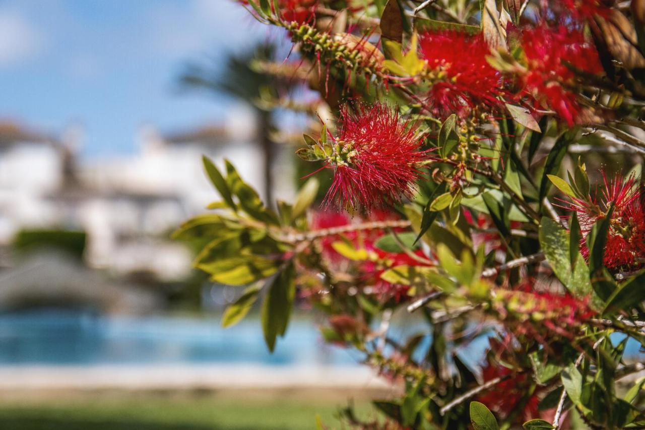 Avalon Appartement Jávea Buitenkant foto